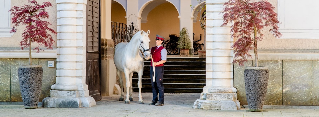 Lipizzaner und daneben ein Bereiten stehen im Durchgang zum Schloss in Piber.