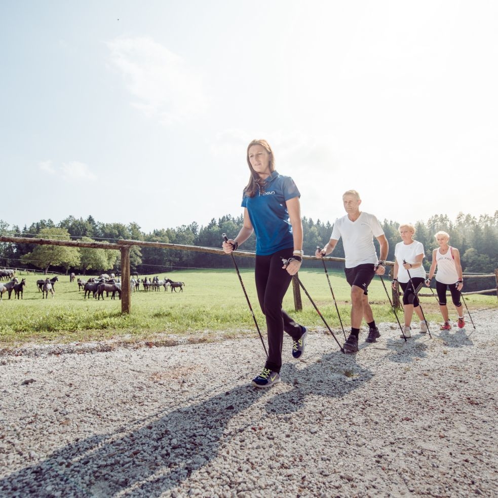 Sportwissenschafterin und drei Gäste beim Walken. Im Hintergrund ist eine grüne Weide mit Lipizzanern zu sehen.