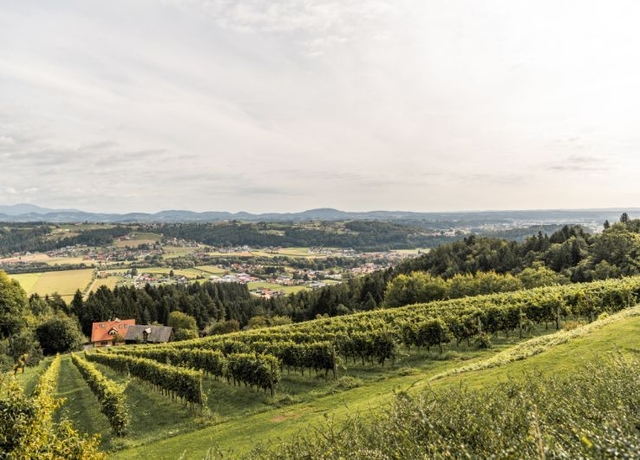 Blick auf Ligist und Weinzeilen.