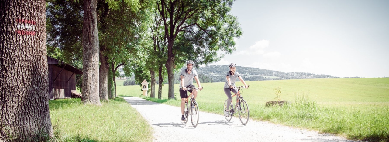 Pärchen mit dem Rad auf einem Radweg umringt von Wiesen und Bäumen.