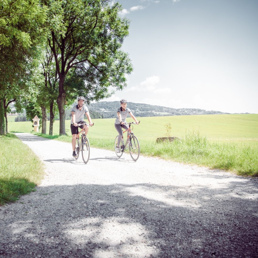 Pärchen mit dem Rad auf einem Radweg umringt von Wiesen und Bäumen.