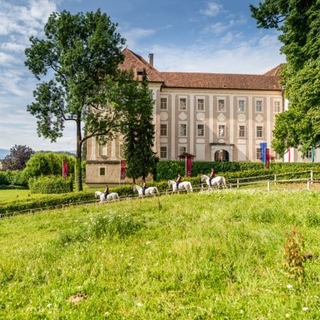 Blick auf das Schloss Piber und davor die weißen Lipizzaner mit Reitern.