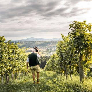 Mann mit Hut und Lederhose steht zwischen den Weinzeilen mit dem Rücken zur Kamera.