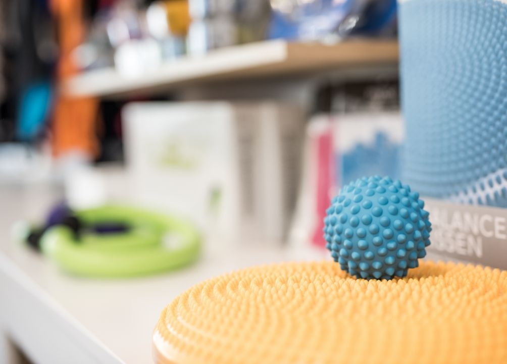 Blick auf einen Igelball aus dem Thermenshop der Therme NOVA.