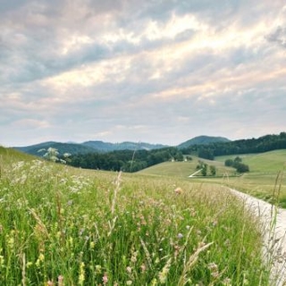 Blick auf die grüne Landschaft von Piber in der Abenddämmerung.