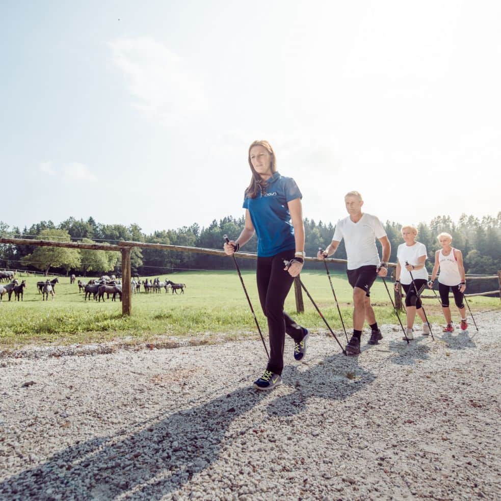 Sportwissenschafterin und drei Gäste beim Walken. Im Hintergrund ist eine grüne Weide mit Lipizzanern zu sehen.