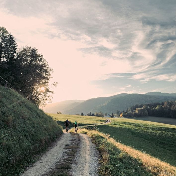 Blick auf einen wander- und Radweg in der Lipizzanerheimat