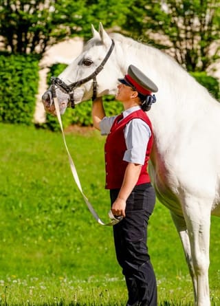 Nahaufnahme von Reiter und Lipizzaner