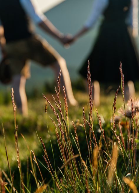 Nahaufnahme von Grashalmen. Dahinter ist verschwommen ein Pärchen zu sehen.